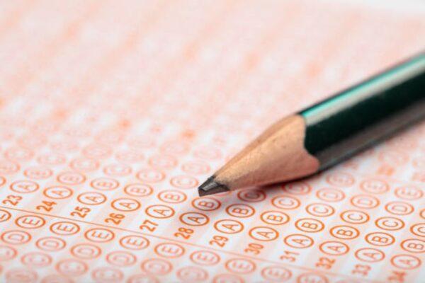 BISE Faisalabad Class 9 Punjabi Past Paper 2021 Morning Session