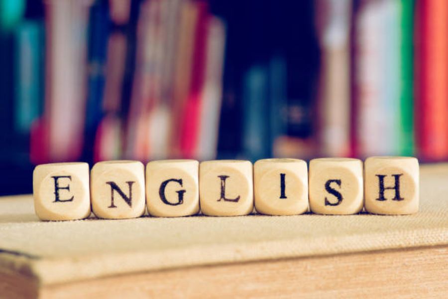 English Past Paper 2022 Morning BISE Bahawalpur Class 9