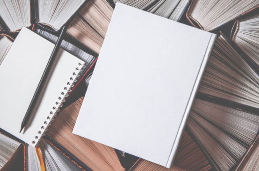 Class 9 Biology Past Paper 2019 Evening BISE Faisalabad