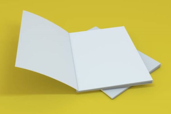 BISE Sargodha Class 10 Computer Science Past Paper 2022 Evening