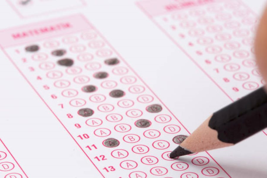 BISE Faisalabad Class 9 Punjabi Past Paper 2022