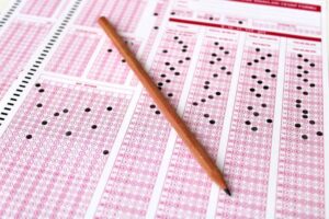 Punjabi Past Paper 2023 Class 10 BISE Bahawalpur