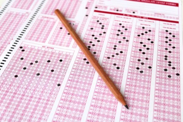 Punjabi Past Paper 2023 Class 10 BISE Bahawalpur