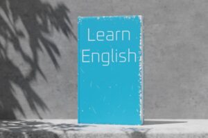 English Past Paper 2024 Morning BISE Bahawalpur Class 9