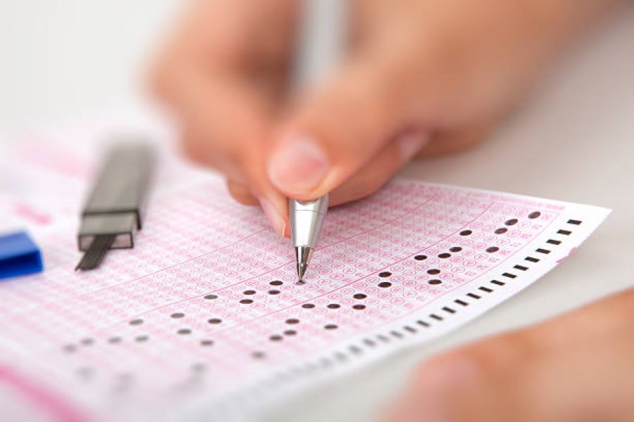 BISE Faisalabad Class 9 Punjabi Past Paper 2018