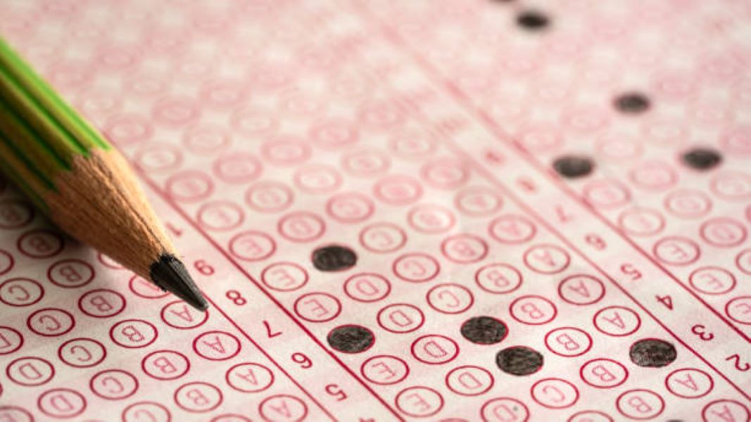 BISE Faisalabad Class 9 Punjabi Past Paper 2024