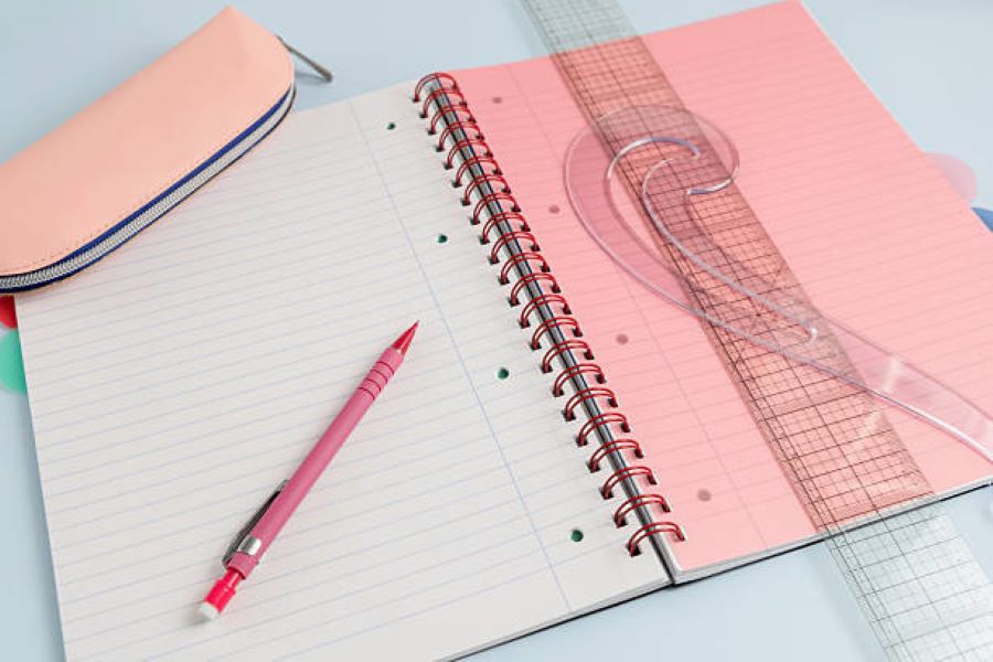 Maths Class 9 BISE Faisalabad Past Paper 2024 Morning Session