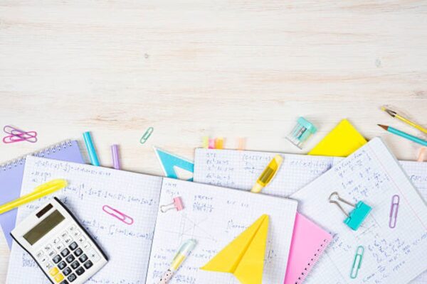 BISE Sargodha Class 10 Physics Past Paper 2024 Morning