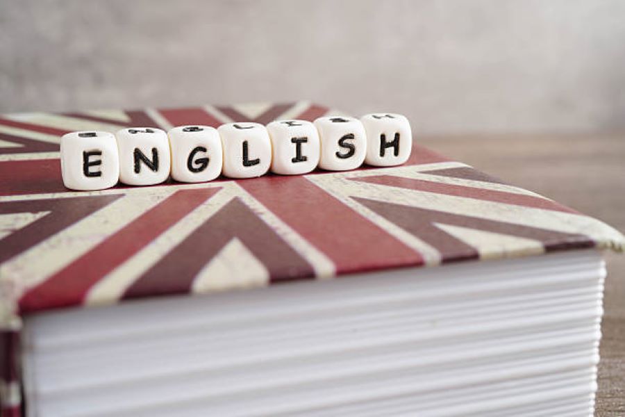 BISE Bahawalpur Class 10 English Past Paper 2024 Evening