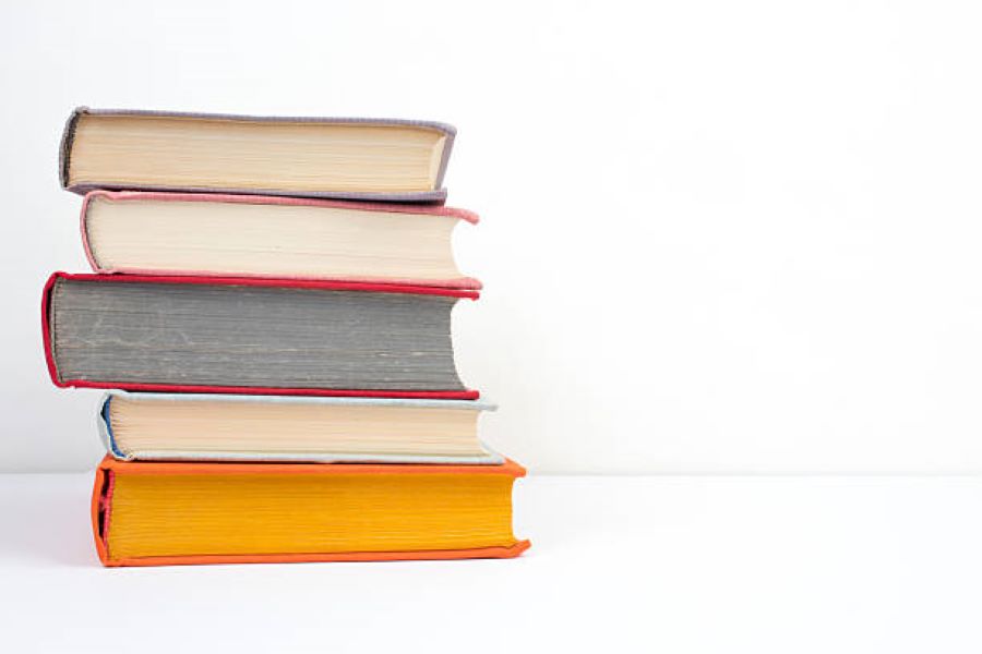 Computer Science Class 10 BISE Bahawalpur Past Paper 2024 Morning