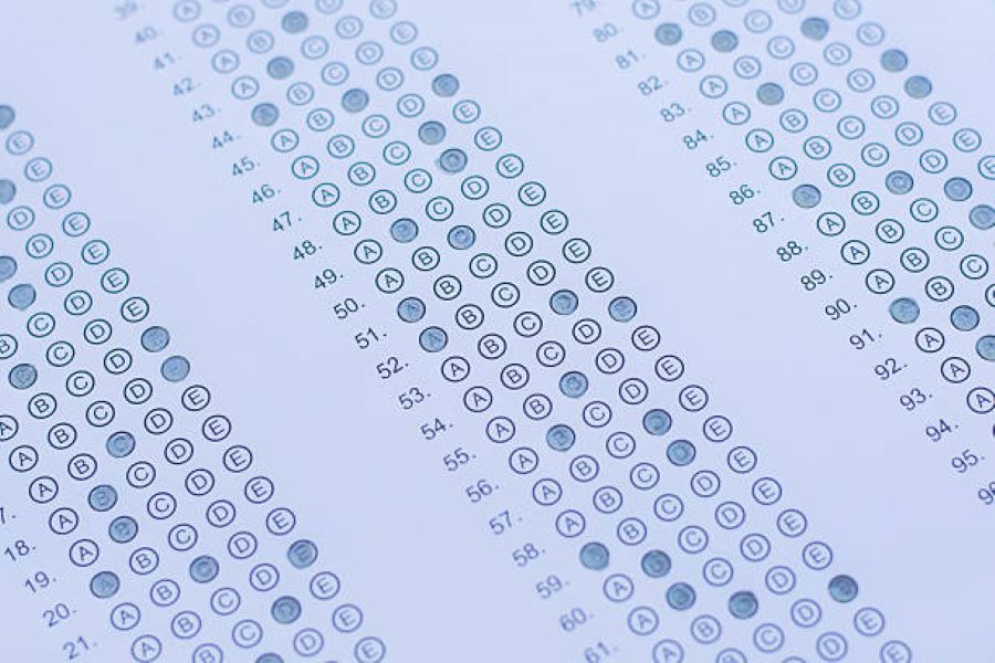 Punjabi Past Paper 2018 Class 10 BISE Bahawalpur