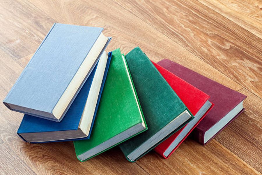 BISE Sargodha Class 10 Home Economics Past Paper 2024