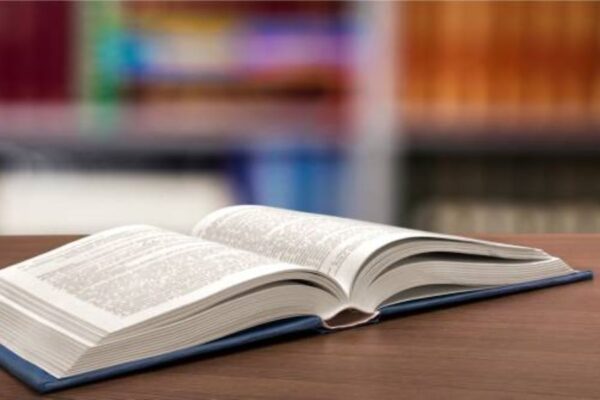 Civics Past Papers Class 10 BISE Bahawalpur 2024