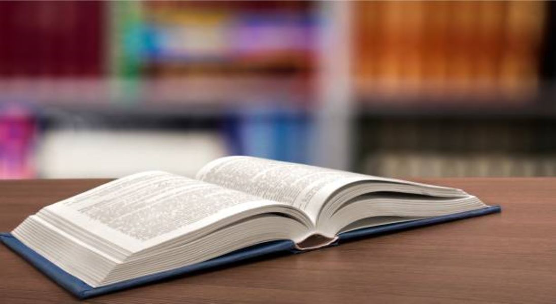 Civics Past Papers Class 10 BISE Bahawalpur 2024