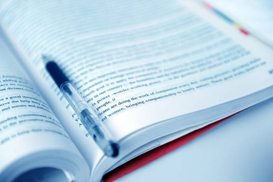 Civics Past Papers Class 10 BISE Bahawalpur 2022