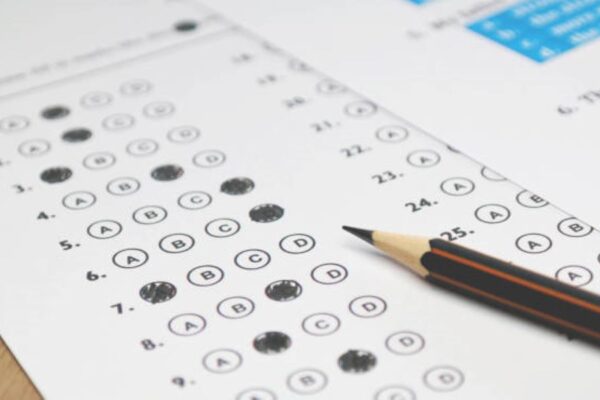 Punjabi Past Paper 2020 Class 10 BISE Bahawalpur