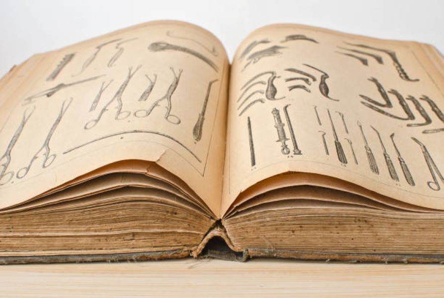 BISE Multan Biology Class 9 Past Paper 2022 Morning