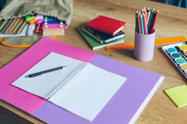 Pakistan Studies Class 9 Past Paper 2024 Evening BISE Multan