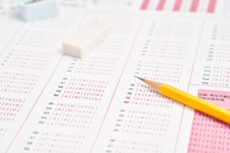 Punjabi Past Paper 2024 morning Class 9 BISE Lahore