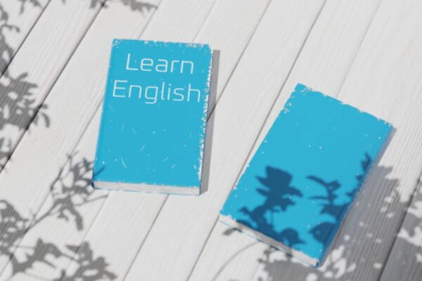 English Past Paper 2022 Evening BISE Dera Ghazi Khan Class 9