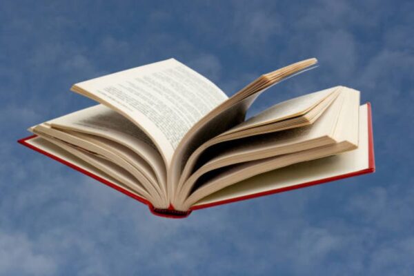 Punjabi Past Paper 2018 Class 9 BISE Multan