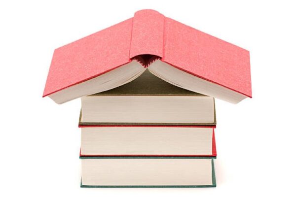 Civics Past Paper BISE Multan Class 9