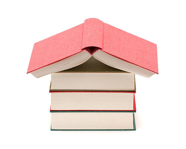 Civics Past Paper BISE Multan Class 9