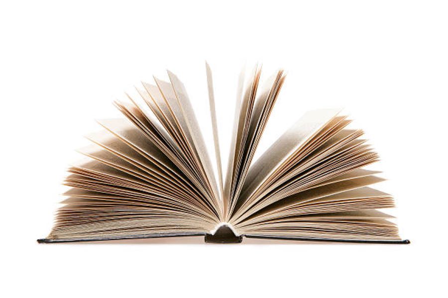 Punjabi Past Paper 2019 Class 9 BISE Multan