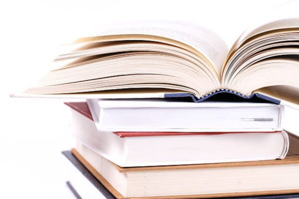 Punjabi Past Paper 2022 Class 9 BISE Multan