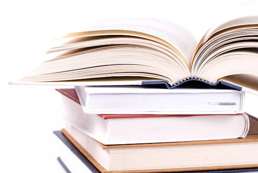 Punjabi Past Paper 2022 Class 9 BISE Multan