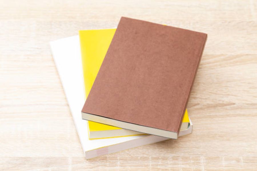 BISE Multan Class 9 English Past Paper 2024 Evening Session