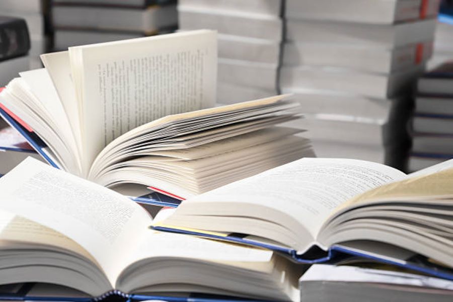 Punjabi Past Paper 2022 Class 9 BISE Dera Ghazi Khan