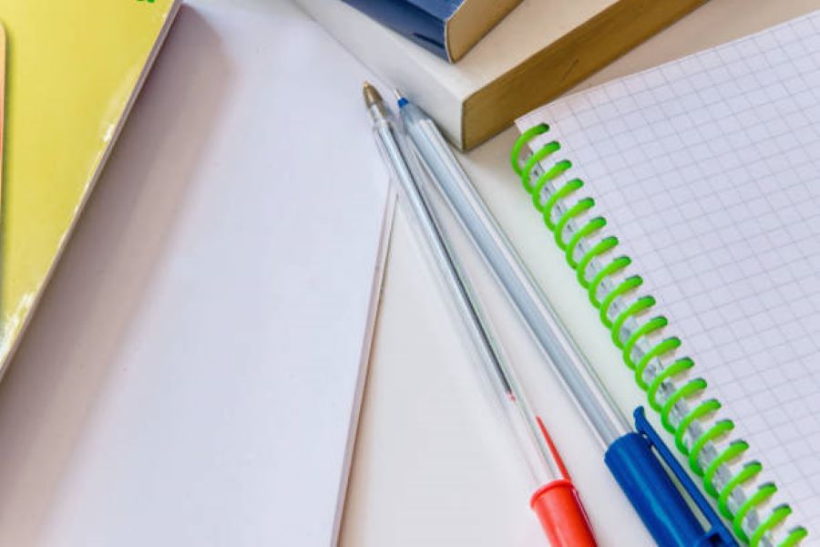 Punjabi Past Paper 2019 Class 9 BISE Dera Ghazi Khan