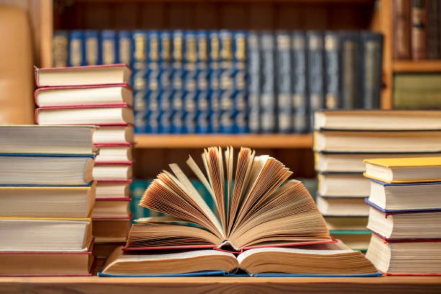 Civics Class 9 Past Paper 2024 BISE Gujranwala