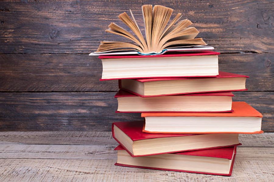 Biology Past Paper 2024 Evening BISE Rawalpindi Class 9