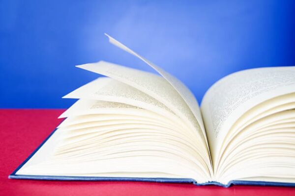 Class 9 Civics Past Papers BISE Rawalpindi 2021