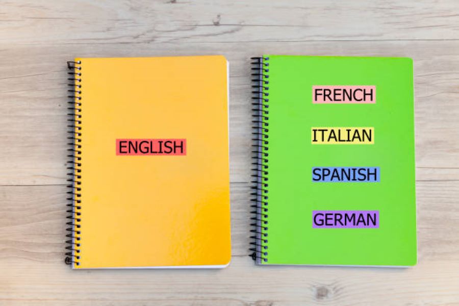 Class 9 English Past Paper 2019 Morning BISE Sargodha