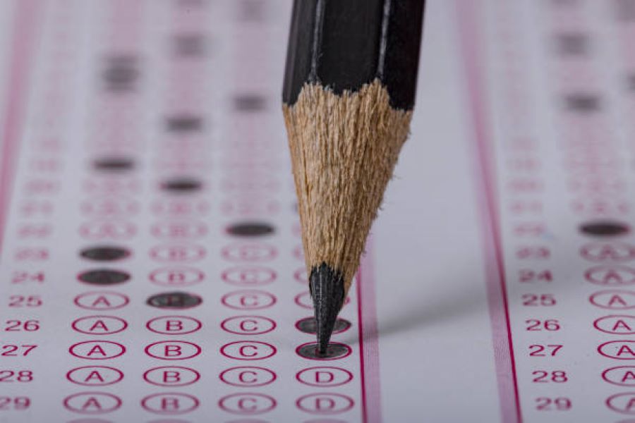 BISE Sargodha Class 9 Punjabi Past Paper 2023