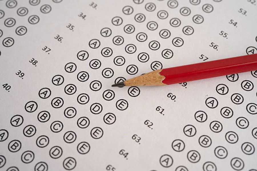 Punjabi Past Paper 2024 Class 9 BISE Bahawalpur