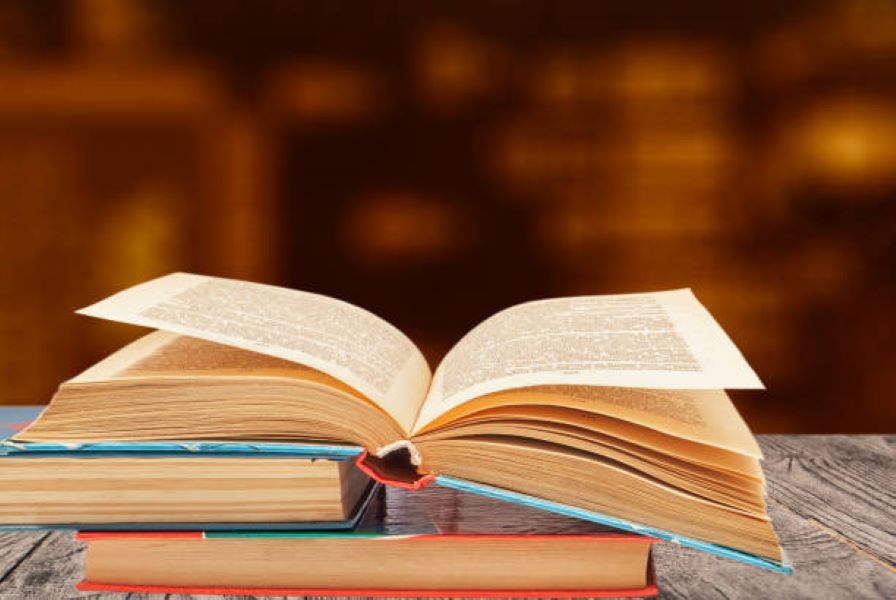 Class 11 Civics Past Paper 2021 BISE AJK