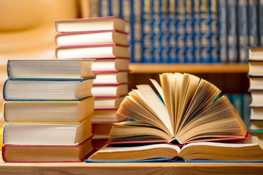 Civics Past Paper 2022 BISE AJK Class 11