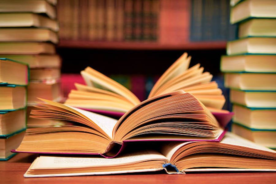 BISE AJK Civics Past Paper 2019 Class 11