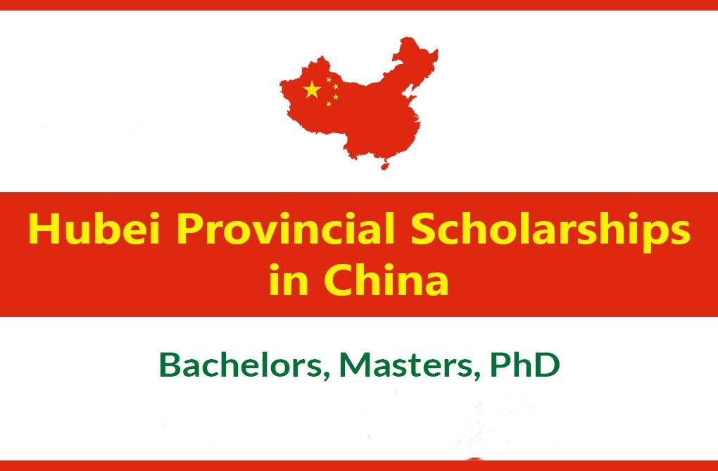 Hubei Provincial Scholarship at Wuhan University