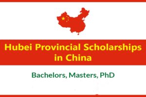 Hubei Provincial Scholarship at Wuhan University